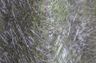 Spittal Houses fibreglass roof work